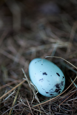 easter-2012-154