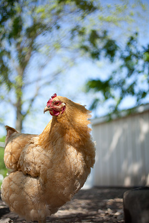 easter-2012-59