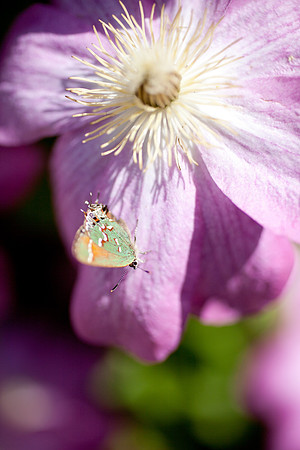 easter-2012-7