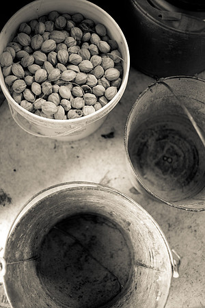 easter-2012-81