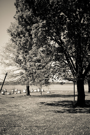 easter-2012-83