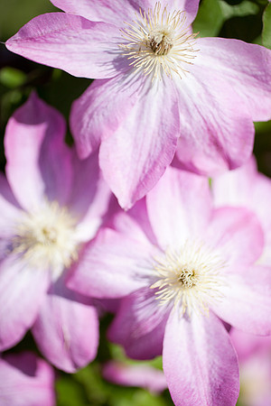 easter-2012-6