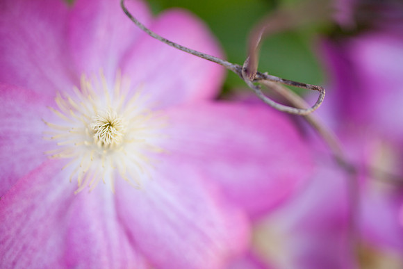 easter-2012-9