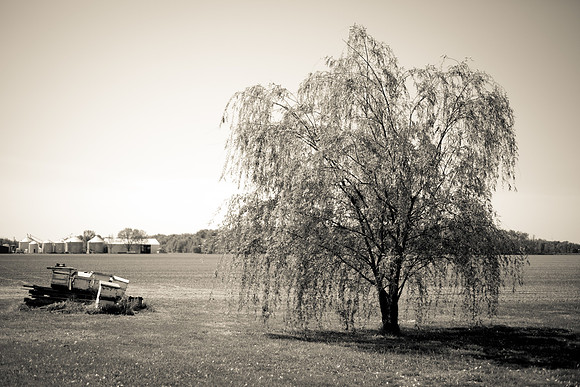 easter-2012-80