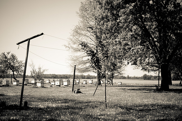 easter-2012-84