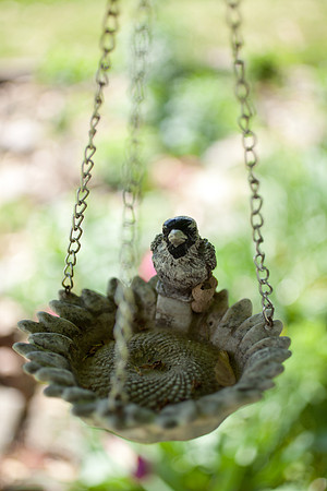 easter-2012-55