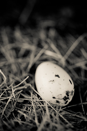easter-2012-157