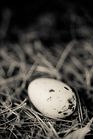 easter-2012-156
