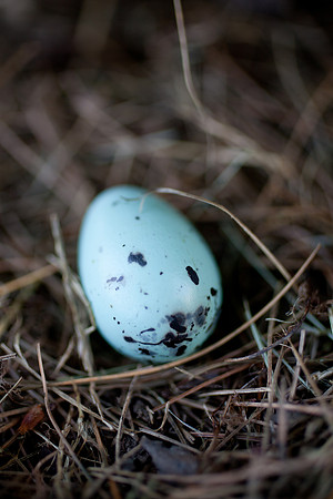 easter-2012-153