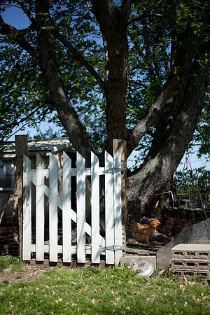 easter-2012-57