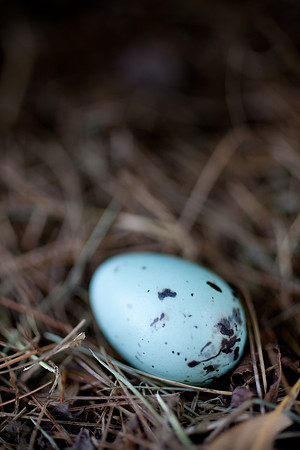 easter-2012-155